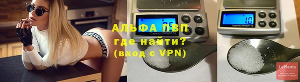 дмт Анива