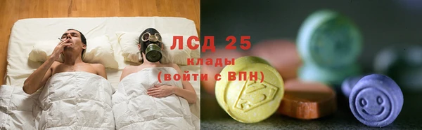 крисы Наволоки