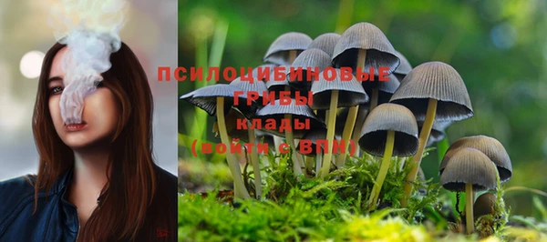 mdpv Михайловка