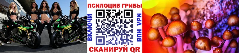Псилоцибиновые грибы Magic Shrooms  ссылка на мегу сайт  Мичуринск  что такое  
