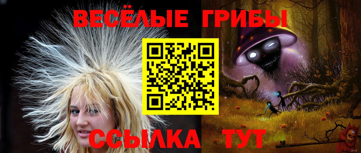 Мичуринск  Галлюциногенные грибы MAGIC MUSHROOMS  Вход с VPN 