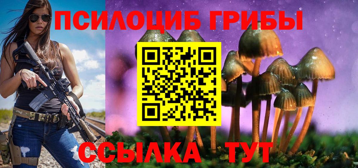 Галлюциногенные грибы прущие грибы  Мичуринск  Галлюциногенные грибы прущие грибы 